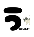 元気★白黒ねこのエールスタンプ（個別スタンプ：27）