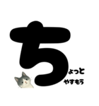 元気★白黒ねこのエールスタンプ（個別スタンプ：28）