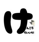 元気★白黒ねこのエールスタンプ（個別スタンプ：31）
