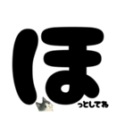 元気★白黒ねこのエールスタンプ（個別スタンプ：36）