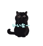 くろ猫感情（個別スタンプ：6）