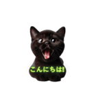 くろ猫感情（個別スタンプ：8）