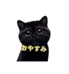 くろ猫感情（個別スタンプ：9）