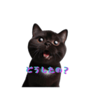 くろ猫感情（個別スタンプ：12）