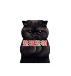 くろ猫感情（個別スタンプ：15）