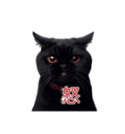 くろ猫感情（個別スタンプ：16）