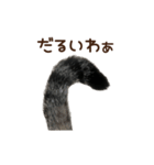 大好きな恋人に嫉妬するキジトラ猫のしっぽ（個別スタンプ：23）