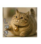 マンチカンと一緒01（個別スタンプ：8）