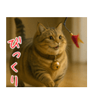 マンチカンと一緒01（個別スタンプ：12）