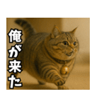 マンチカンと一緒01（個別スタンプ：17）