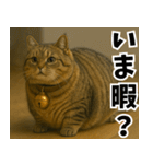 マンチカンと一緒01（個別スタンプ：31）
