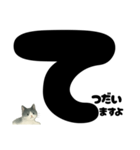 ていねい★白黒ねこのことばスタンプ（個別スタンプ：19）