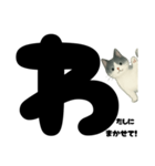 ていねい★白黒ねこのことばスタンプ（個別スタンプ：40）