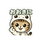 使いやすい白蛇ねこの大阪弁スタンプ（個別スタンプ：1）
