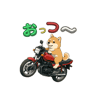 芝犬が旧車バイクでツーリング（個別スタンプ：2）