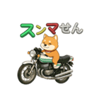 芝犬が旧車バイクでツーリング（個別スタンプ：3）