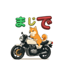 芝犬が旧車バイクでツーリング（個別スタンプ：4）