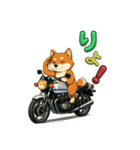 芝犬が旧車バイクでツーリング（個別スタンプ：5）