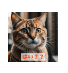 毎日使える！ネコの表情スタンプ（個別スタンプ：12）