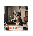 毎日使える！ネコの表情スタンプ（個別スタンプ：37）