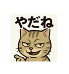 煽り猫@2（個別スタンプ：1）