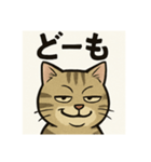 煽り猫@2（個別スタンプ：3）