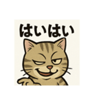 煽り猫@2（個別スタンプ：7）