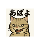 煽り猫@2（個別スタンプ：11）