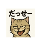 煽り猫@2（個別スタンプ：12）