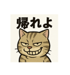 煽り猫@2（個別スタンプ：15）