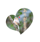 『ありがとう』を伝える《感謝の言葉》（個別スタンプ：2）