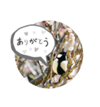 『ありがとう』を伝える《感謝の言葉》（個別スタンプ：3）