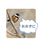 『ありがとう』を伝える《感謝の言葉》（個別スタンプ：6）