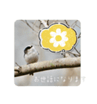 『ありがとう』を伝える《感謝の言葉》（個別スタンプ：7）