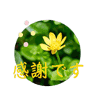 『ありがとう』を伝える《感謝の言葉》（個別スタンプ：13）