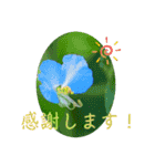 『ありがとう』を伝える《感謝の言葉》（個別スタンプ：14）