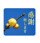 『ありがとう』を伝える《感謝の言葉》（個別スタンプ：17）