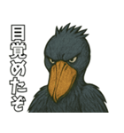 隣のハシビロコウ（個別スタンプ：1）