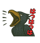 隣のハシビロコウ（個別スタンプ：11）