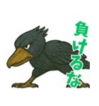 隣のハシビロコウ（個別スタンプ：12）