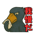 隣のハシビロコウ（個別スタンプ：21）