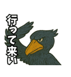 隣のハシビロコウ（個別スタンプ：24）