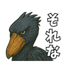 隣のハシビロコウ（個別スタンプ：37）