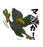 隣のハシビロコウ（個別スタンプ：39）
