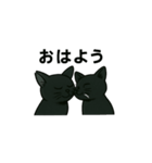 黒猫兄弟ココピー③（個別スタンプ：2）