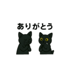 黒猫兄弟ココピー③（個別スタンプ：3）