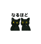 黒猫兄弟ココピー③（個別スタンプ：4）