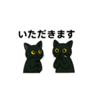黒猫兄弟ココピー③（個別スタンプ：7）