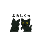 黒猫兄弟ココピー③（個別スタンプ：9）