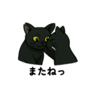 黒猫兄弟ココピー③（個別スタンプ：10）